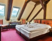 Sklené Teplice - Goethe