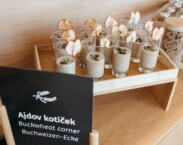 Hotel Ajda Moravske Toplice