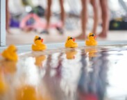 Hotel Aqua Mosonmagyaróvár