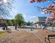 Trenčianské Teplice - Krym