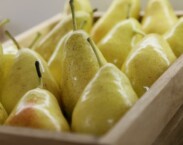 Lázeňský hotel Astoria - Karlovy Vary