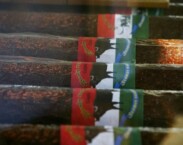 Termální lázně Harkány Termální lázně Harkány