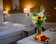 Luhačovice, Pozlovice - Hotel Vega