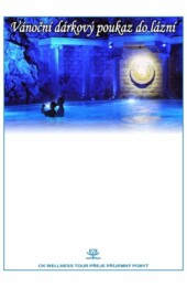 Vánoční dárkový poukaz "Noční bazén"