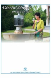 Vánoční dárkový poukaz "Pramen"