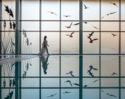 Termální lázně Hévíz Termální lázně Hévíz