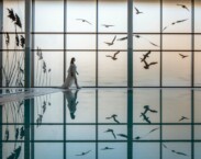 Termální lázně Hévíz Termální lázně Hévíz