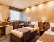 deluxe_twin deluxe_twin